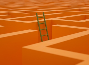 A maze (orange color) with a green ladder out
