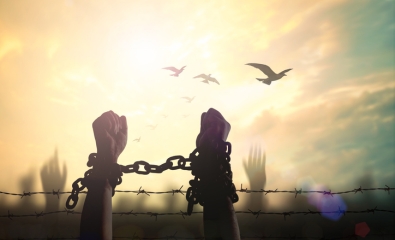 Person in chains in front of barbed wire, with sunrise and birds