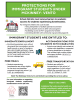 Cover page of flyer/fact sheet: English version, Protections for Immigrant Students Under McKinney-Vento